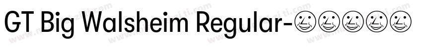GT Big Walsheim Regular字体转换